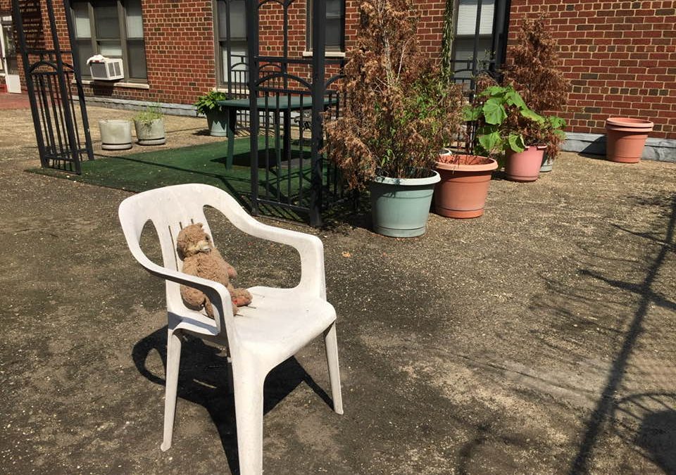 KonMari letting go series: Sentimental Item #3 My Dog’s Teddy Bear