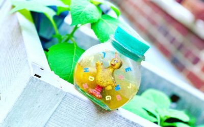 KonMari letting go series: Sentimental Item #4 Marimo moss ball
